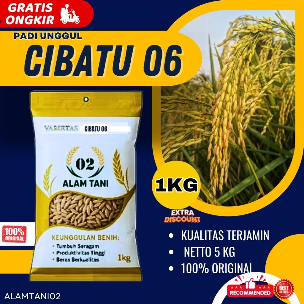 BIBIT PADI UNGGUL BERKUALITAS BENIH PADI CIBATU 1KG