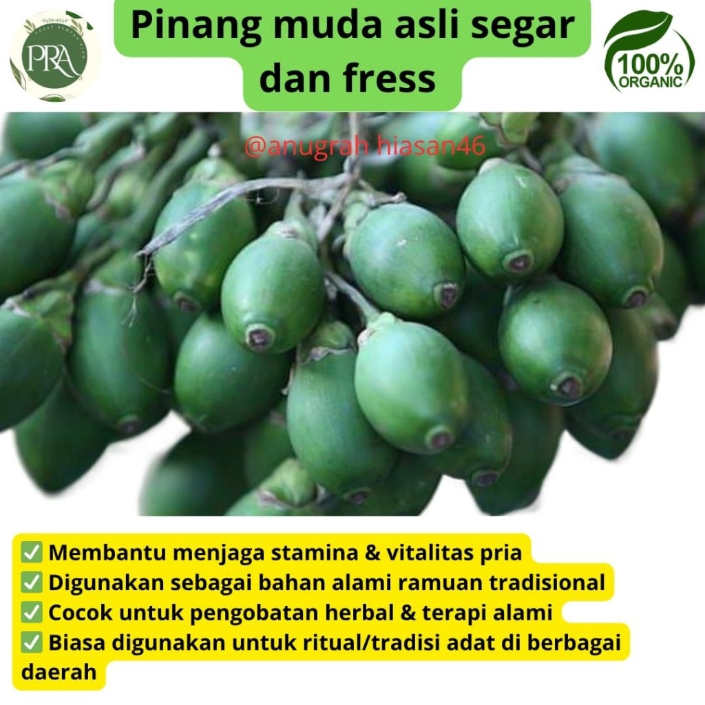 

pinang muda original (10 biji) segar asli fres asli tanem sendiri100%