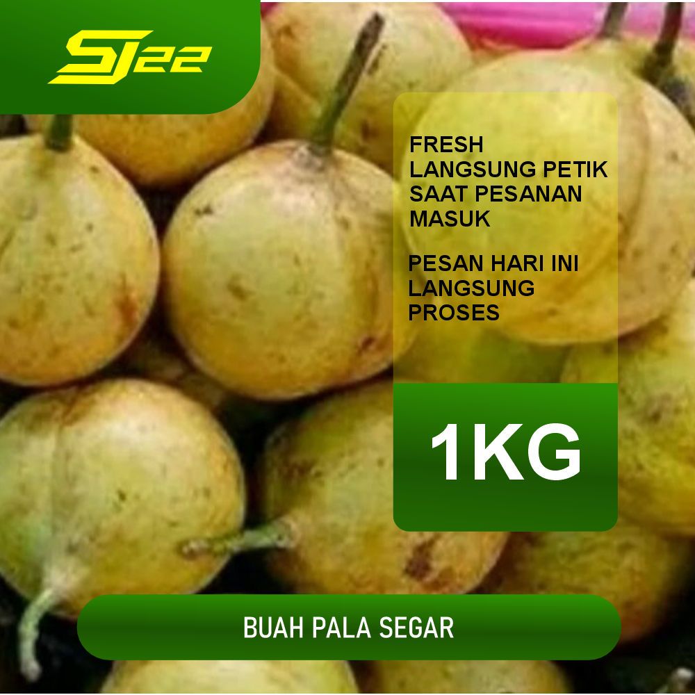 

BUAH PALA MUDA FRESH LANGSUNG PETIK 1KG