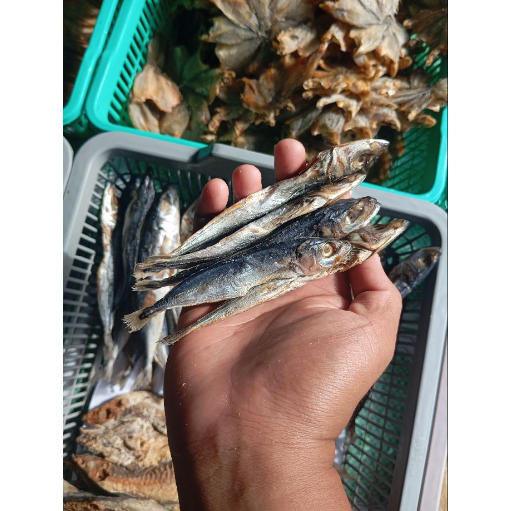 

Ikan Asin Layang 250gr/500gr