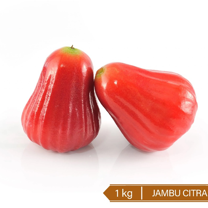 

Buah Jambu Citra 1KG