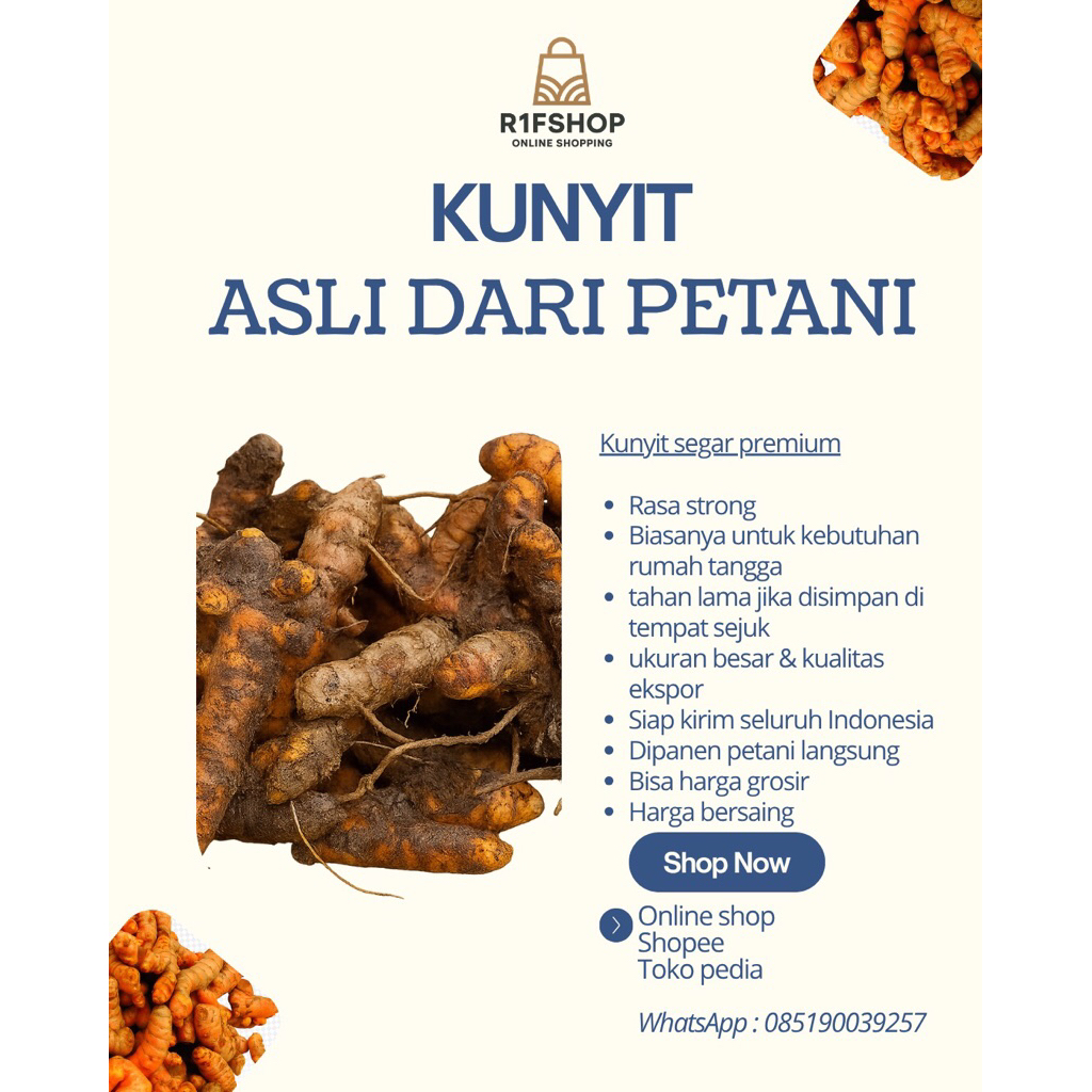 

KUNYIT SEGAR LANGSUNG DARI PETANI