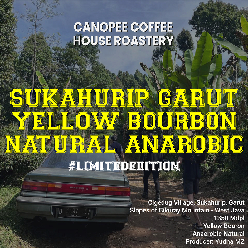 

Arabika "Yellow Bourbon Sukahurip Natural Anaerobic" - Limited Edition Series