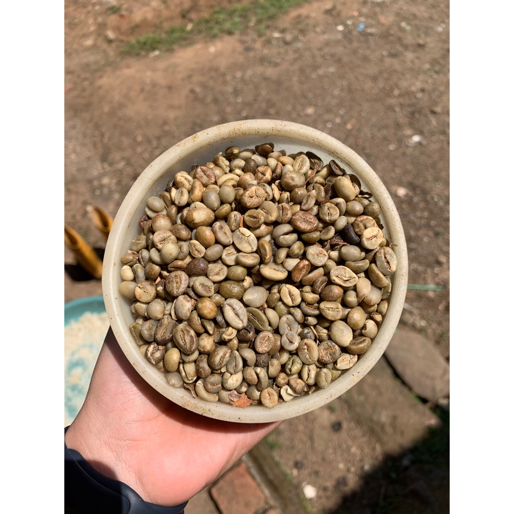 

KOPI ROBUSTA MENTAH MURAH MERIAH 1kg