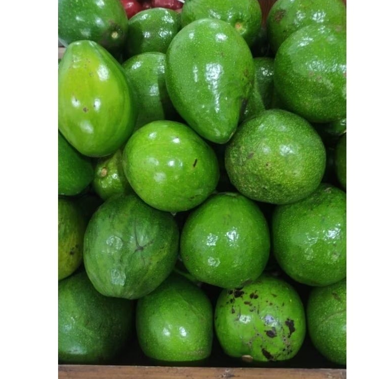 

Alpukat Mentega Bangka Belitung -+1KG