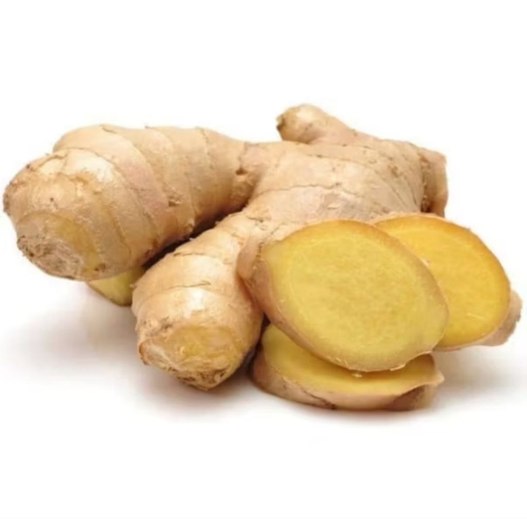 

JAHE PUTIH SEGAR BERKUALITAS 250gram/Code-019