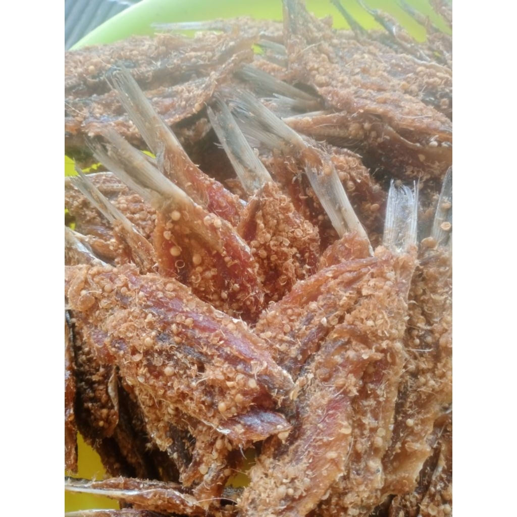 

Dendeng Ikan Tembang NR BAHARI