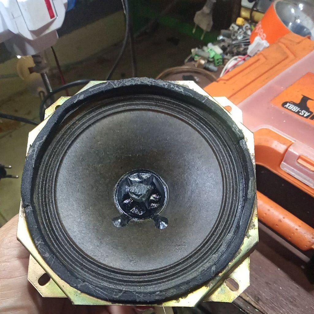 speaker polytron grand BAZZOKE