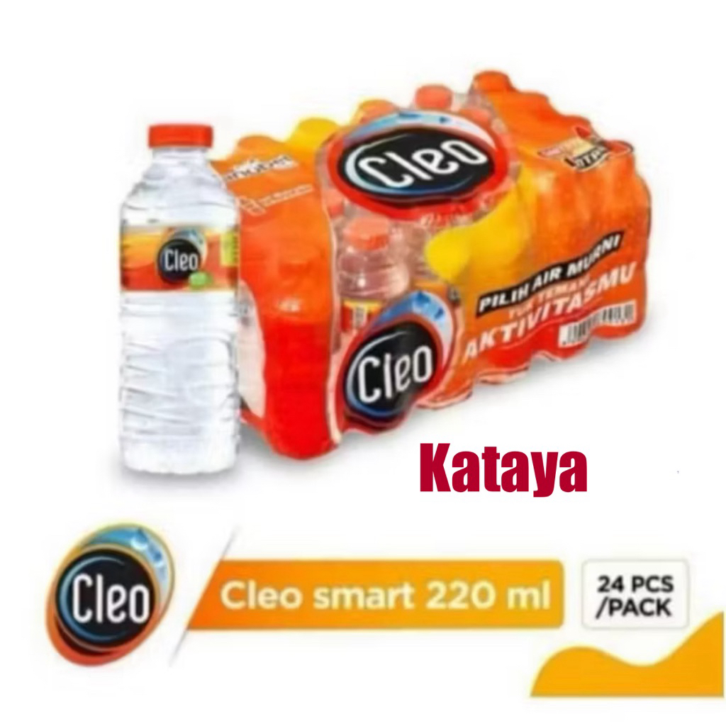 

[ PAKET 2 PACK ] Air Cleo Smart 220ml (per pack isi 24 Botol)