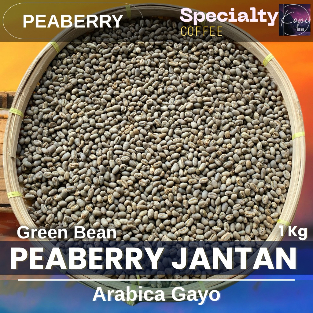 

Green Bean PEABERRY SW Lanang Jantan Tunggal Kopi Gayo Arabica 1 Kg