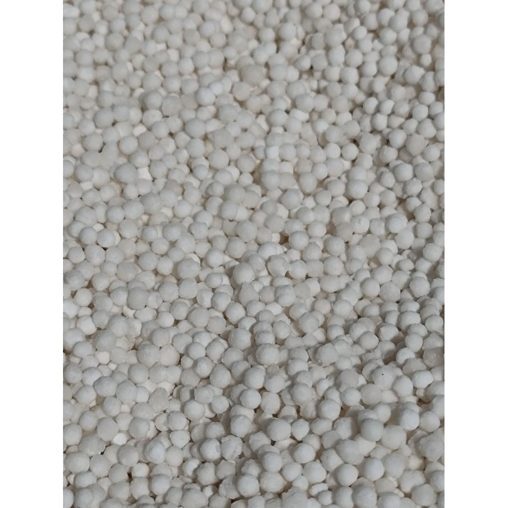 

SAGU MUTIARA PUTIH THAILAND/ MATA IKAN