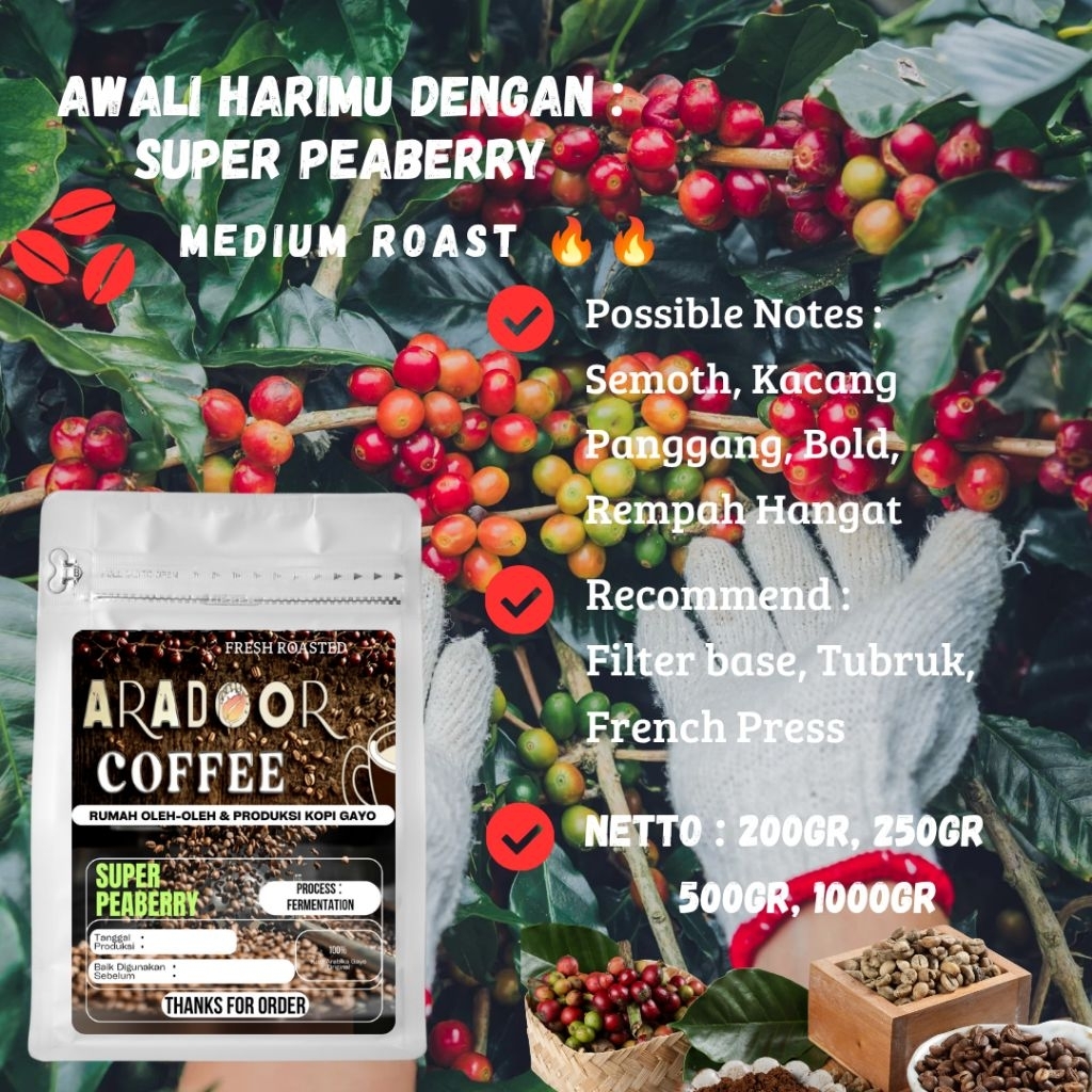 

Kopi Lanang Arabica PEABERRY AraDoor Coffee 100%Arabika Gayo Aceh