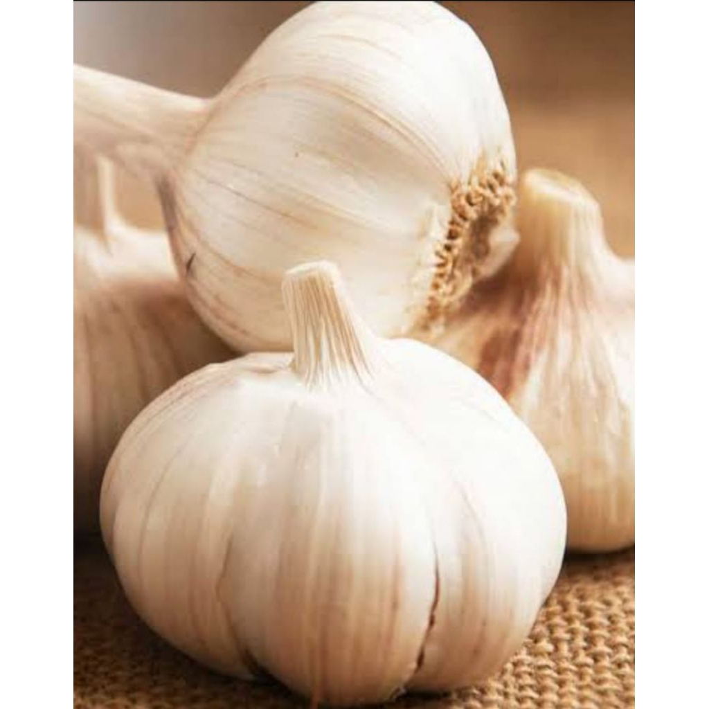 

bawang putih kating 250 gram