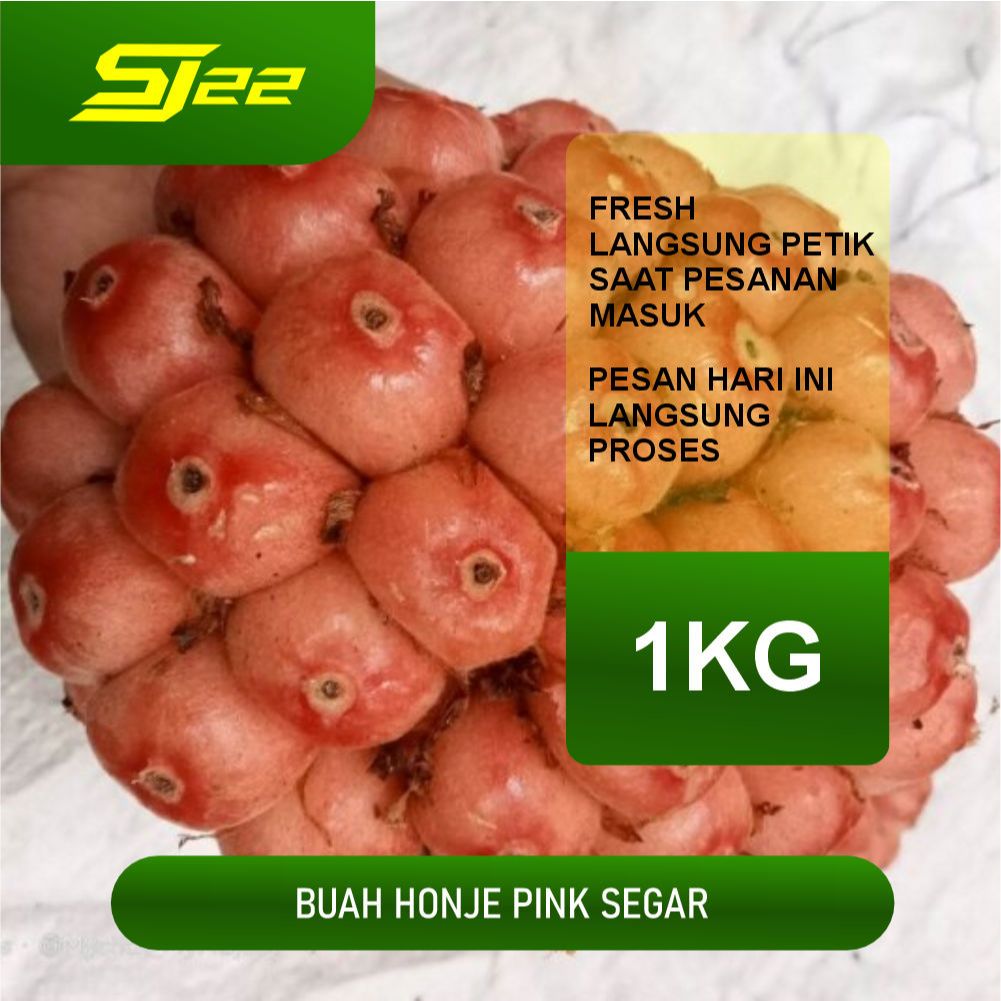

Buah Honje Segar 1 kg - Honje Pink - Honje Laka Fresh / Buah Sawo Kecik 1 kg