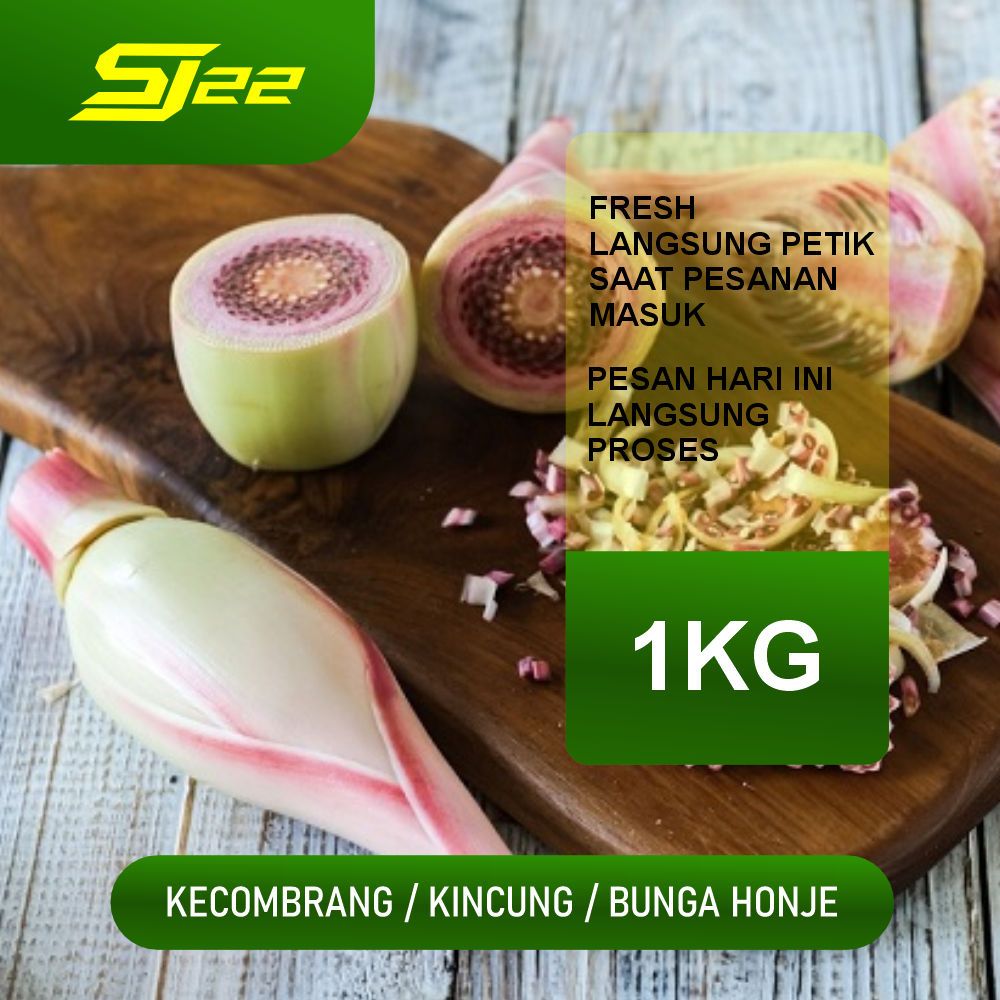 

Bunga Kecombrang Segar 1 kg - Bunga Honje - Rombeh - Kincung Fresh