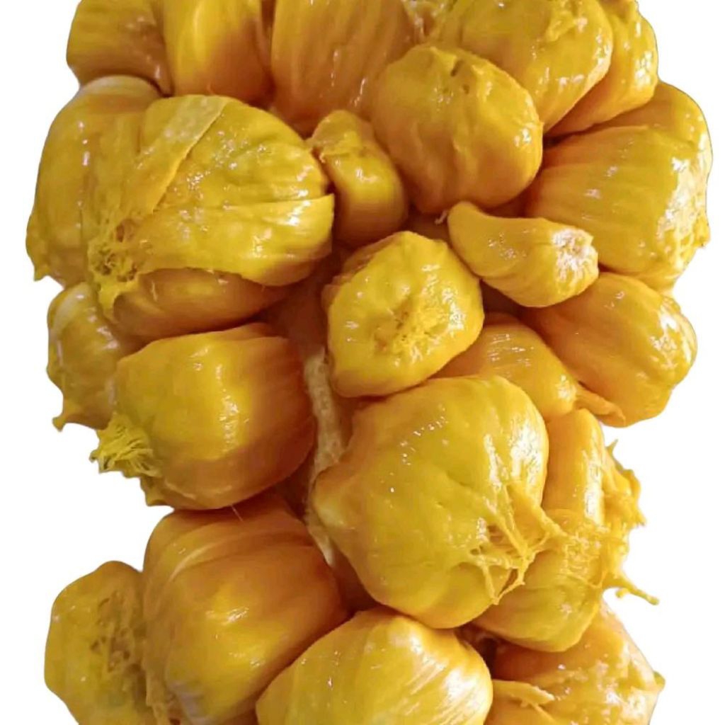 

Cempedak super manis fresh cempedak Pontianak manis super gift pack