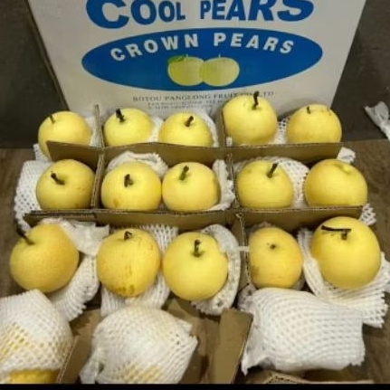 

Buah Pear Century cool Per 1 dus karton