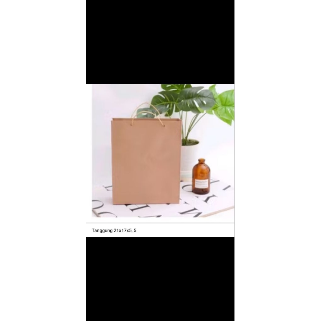 

PAPER BAG TAS KERTAS TANGGUNG POLOS ISI 80+ 21cm x 17.5 cm x 5cm