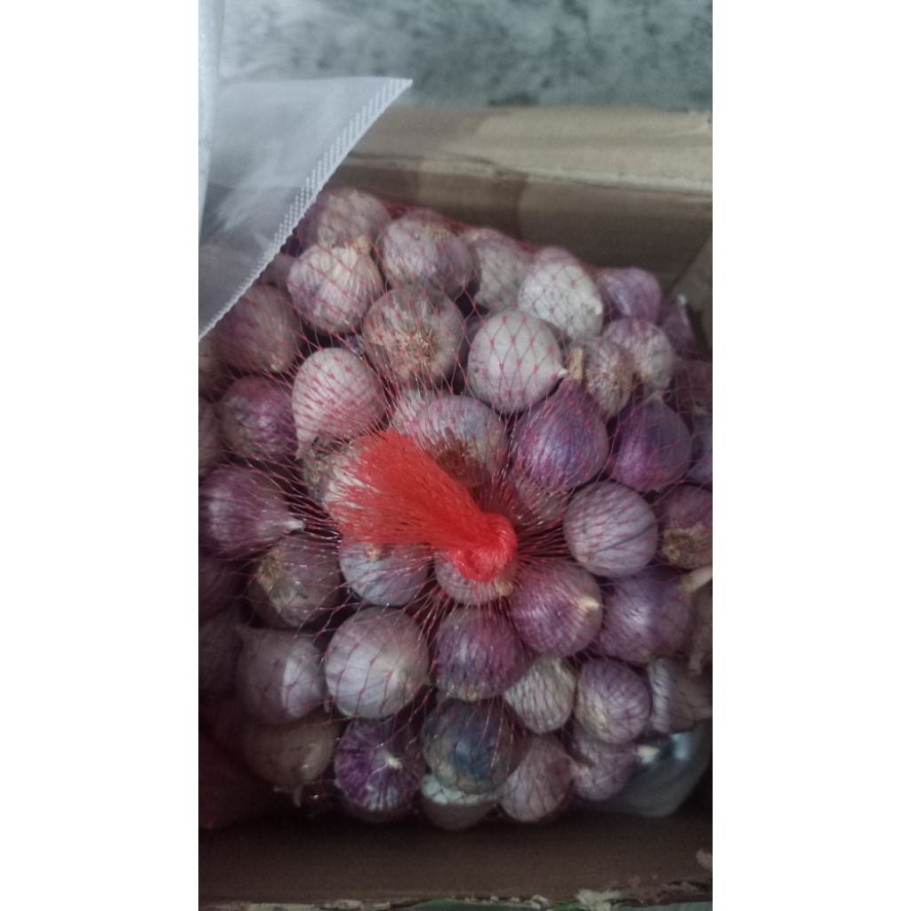 

bawang lanang 250 gr