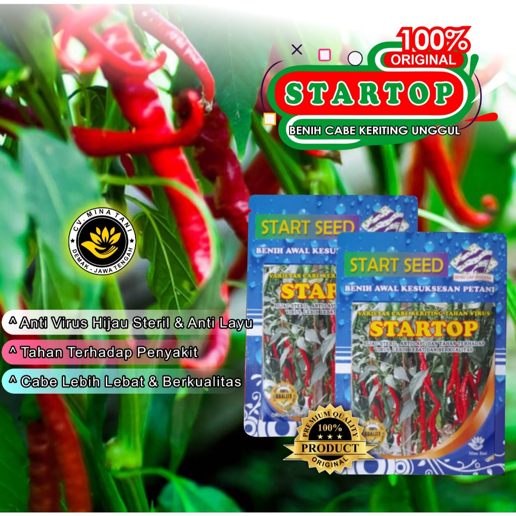 BENIH CABE KRITING STARTOP / BENIH CABE ULTIMATE Benih Cabe Keriting Unggul STARTOP Kualitas Premium