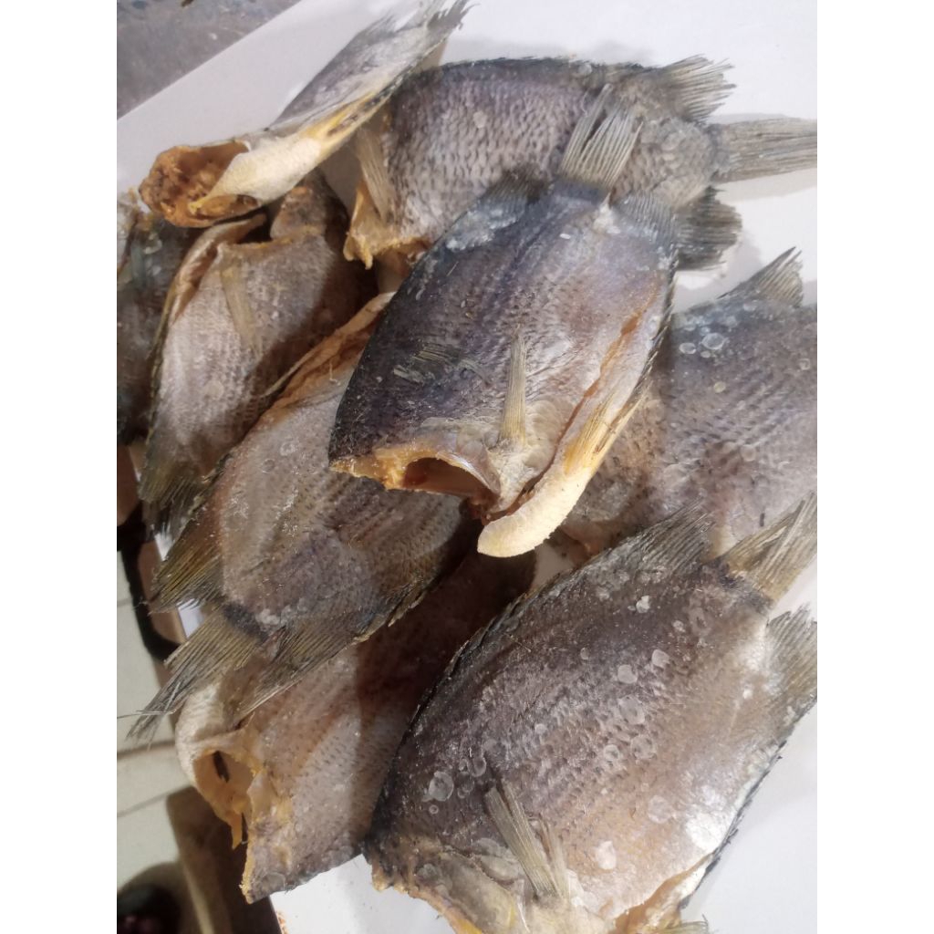 

Ikan Asin Tembakang ( mentah ) siap di masak. 250gr, 500gr dan 1kg.