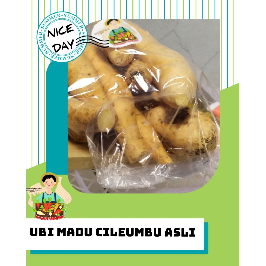 

UBI MADU CILEUMBU ASLI MENTAH 1KG
