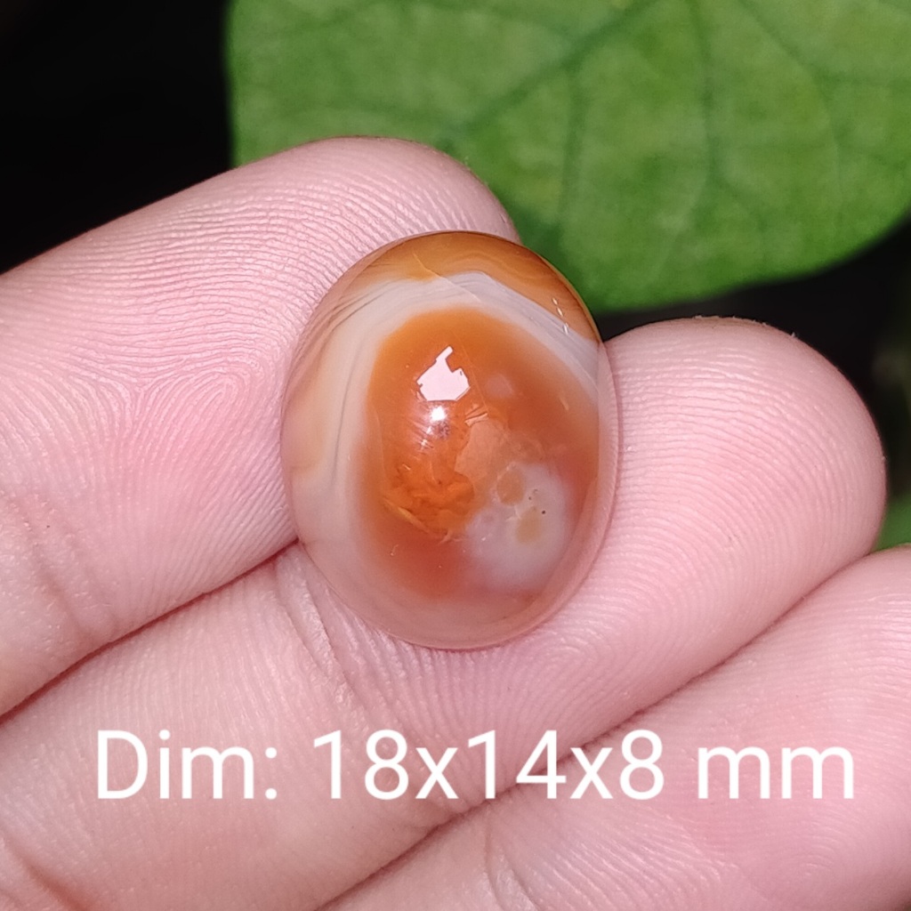 BATU AKIK ANTIK CEMPAKA ASLI NATURAL KALIMANTAN cek batu lainnya yaman api wulung opal bacan permata