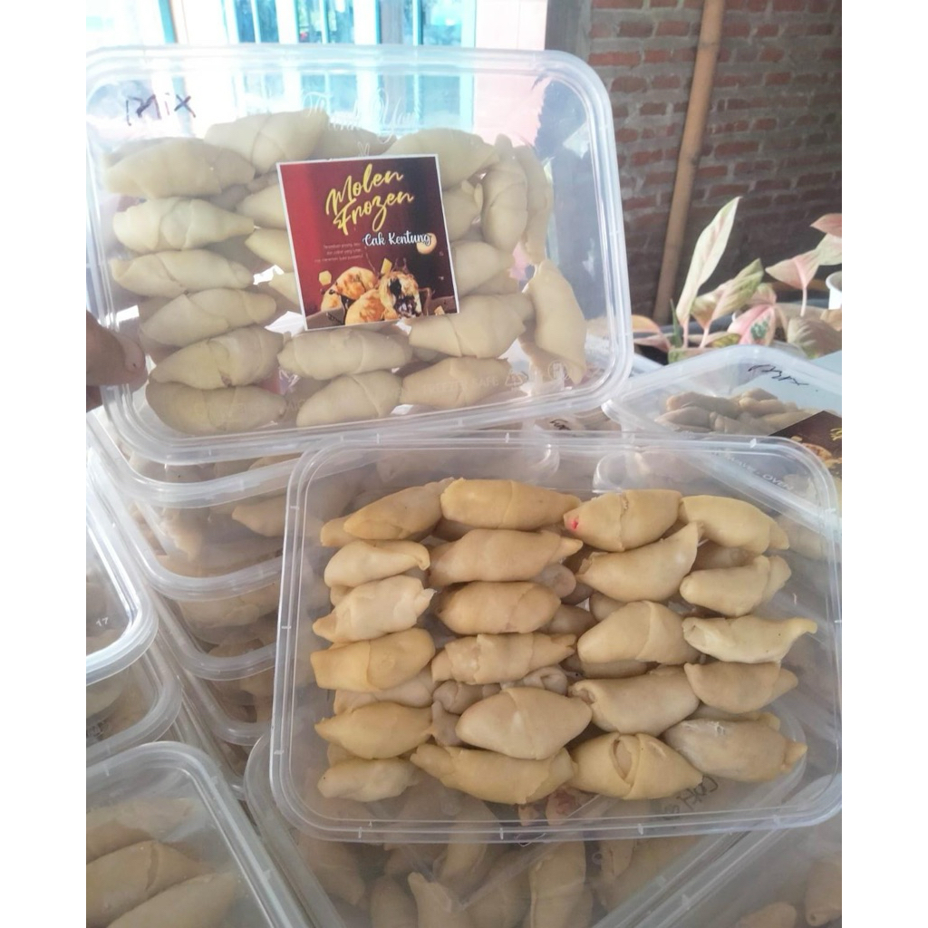 

MOLEN MINI FROZEN FOOD