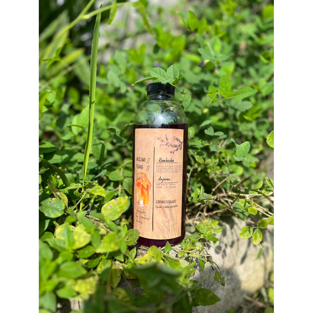 

kombucha by @slviarzky Farmhouse