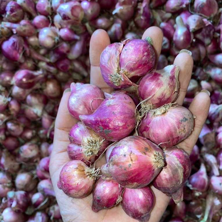 

500gr dan 1000gr bawang merah kering berkualitas dengan harga terjangkau