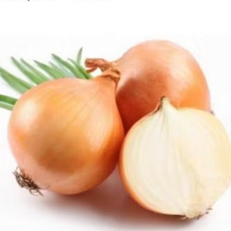 

Bawang Bombay (3 Biji)