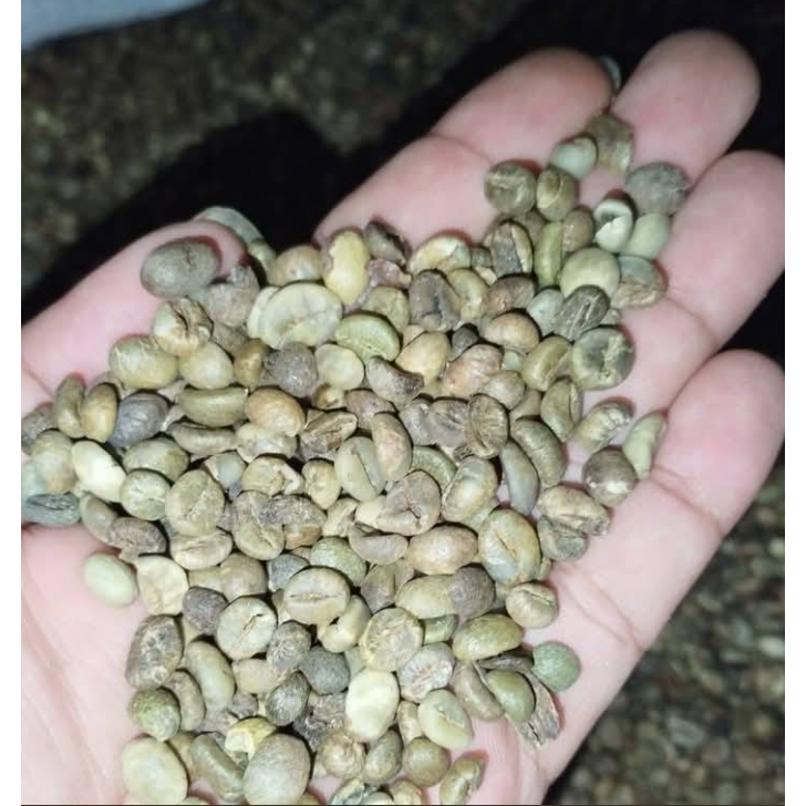 

1 Kg Kopi kering / 500 gram Biji Kopi / 250 gram Biji Kopi Robusta Kering Alami