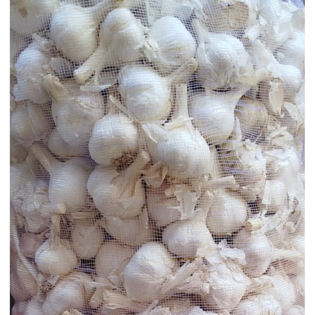 

bawang putih kating impor 1 kg