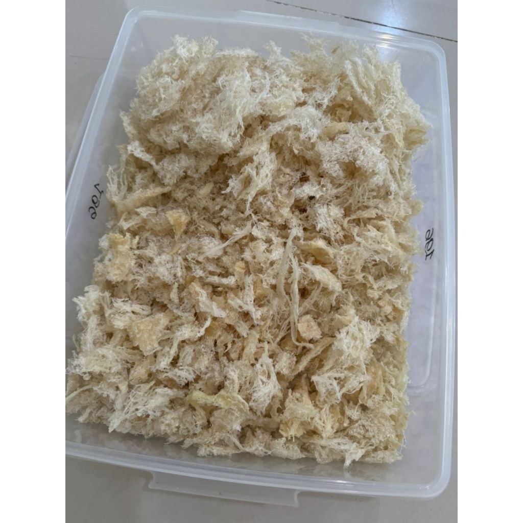 

Sarang Burung Walet (Rontokan)