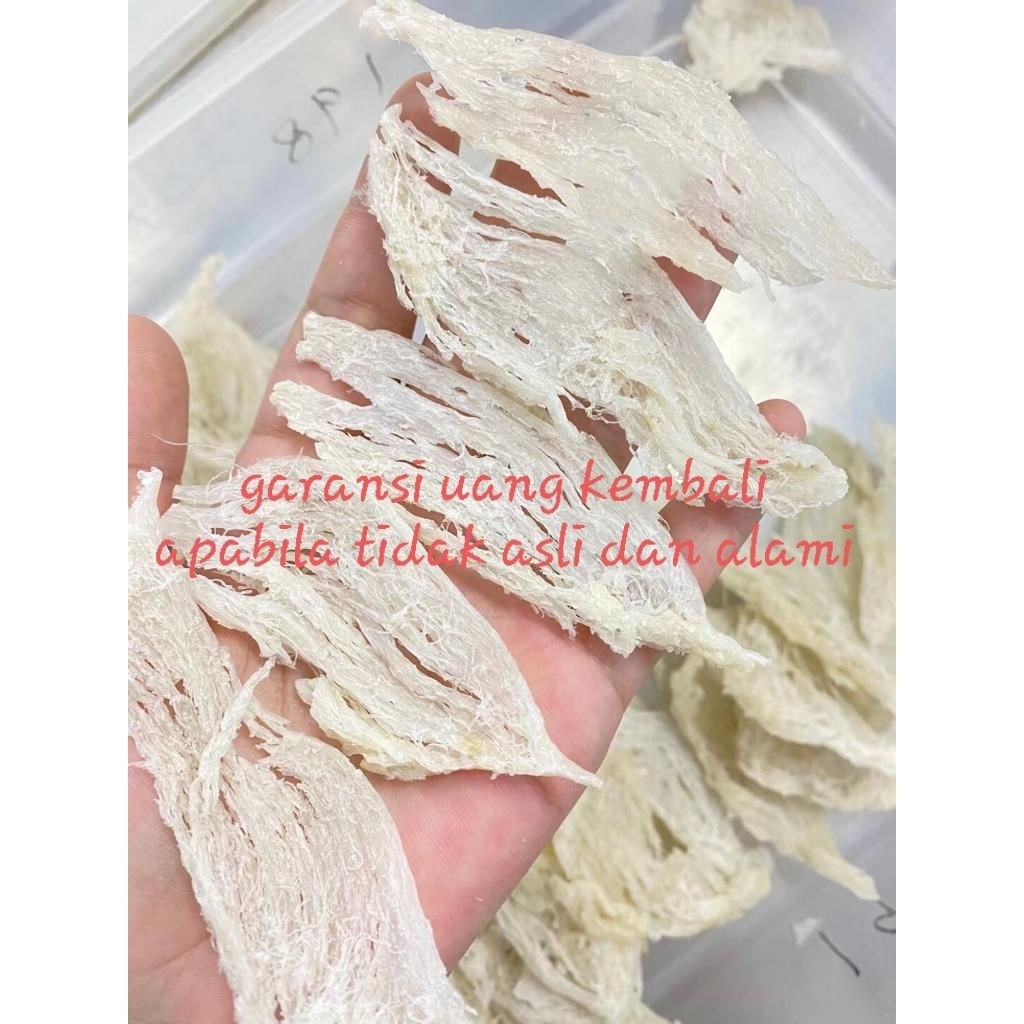 Sarang Burung Walet Bersih Patahan Kecil Natural 50 Gram