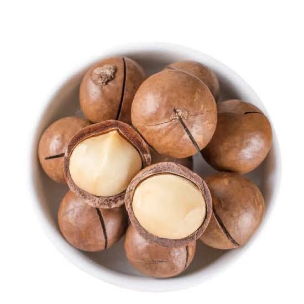 

1KG KACANG MACADAMIA NUTS / KACANG UNTUK KESEHATAN