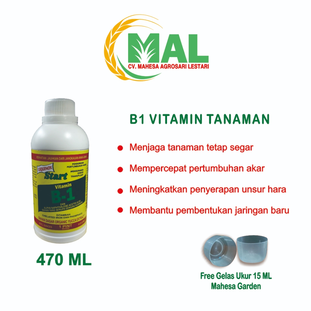 470 ML Pupuk Vitamin B1 Tanaman  untuk Perangsang Akar dan Mengatasi Stress TanamanPupuk Vitamin B1 