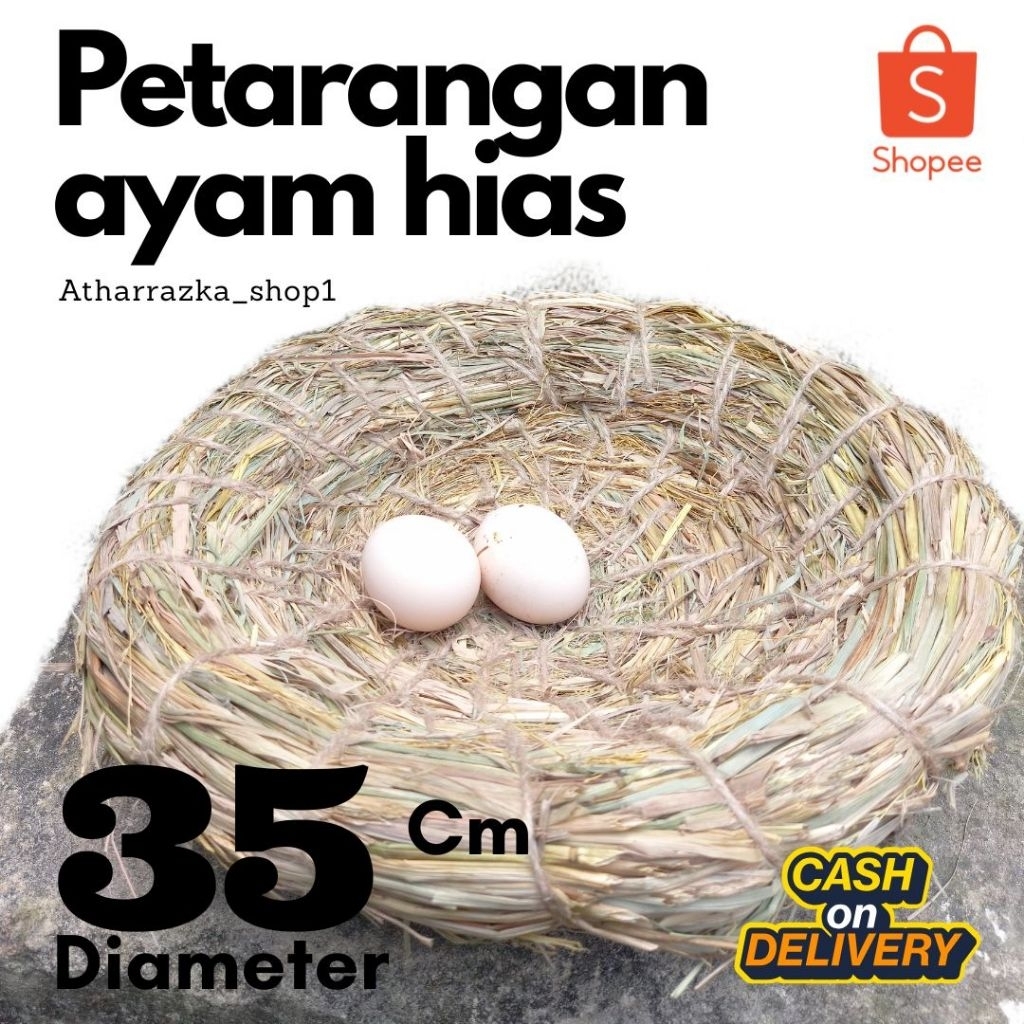 PETARANGAN AYAM HIAS