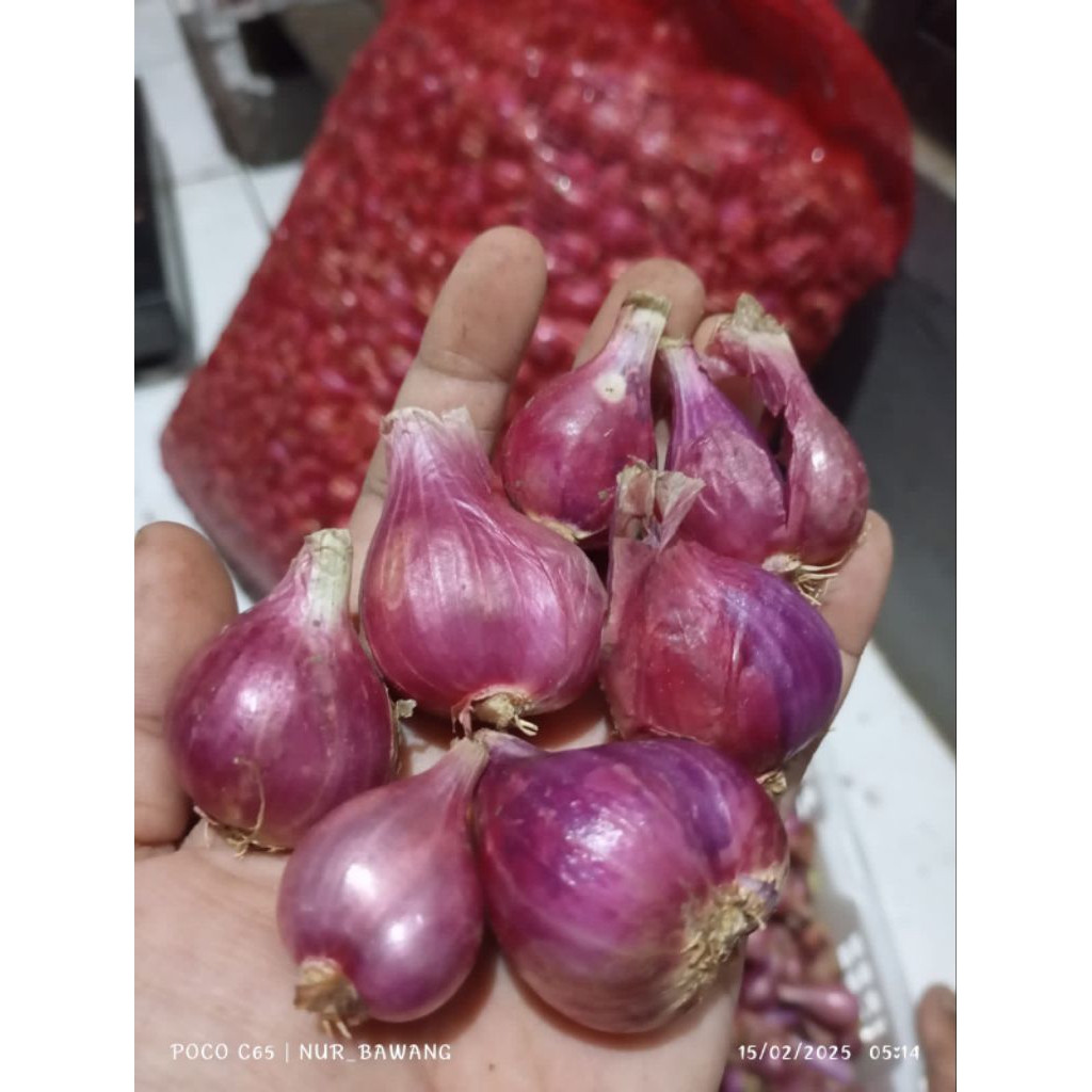 

bawang merah brebes 250 gram + gratis kemiri/penyedap