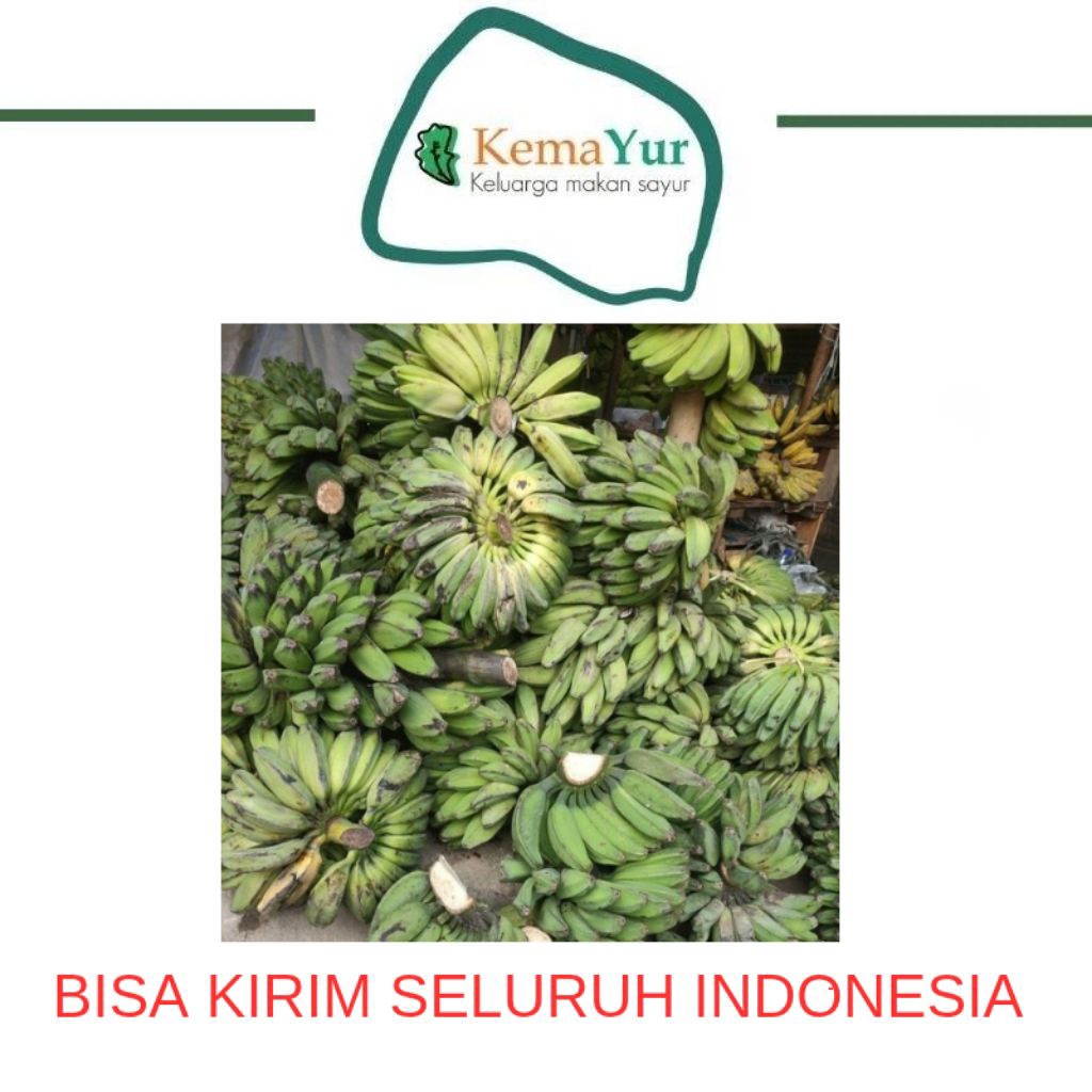 

PISANG KEPOK MURAH GROSIR 1 SISIR