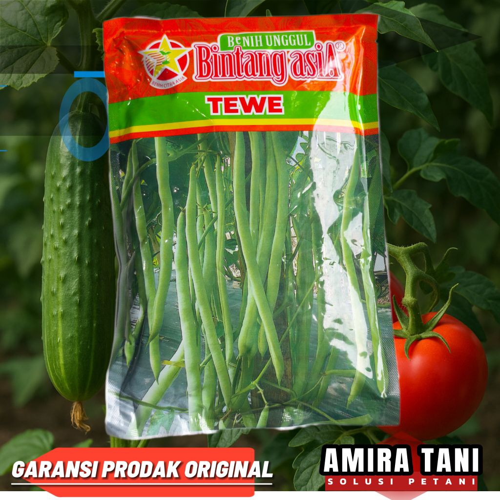 Benih buncis TEWE 500 GRM bintang asia