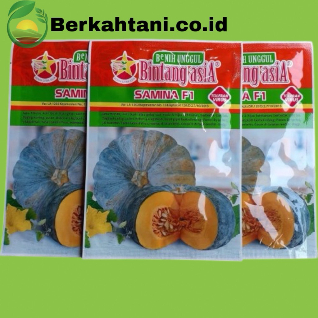 Samina 10gr Benih Waluh Labu  Kuning Super Jumbo Bintang Asia Suprema