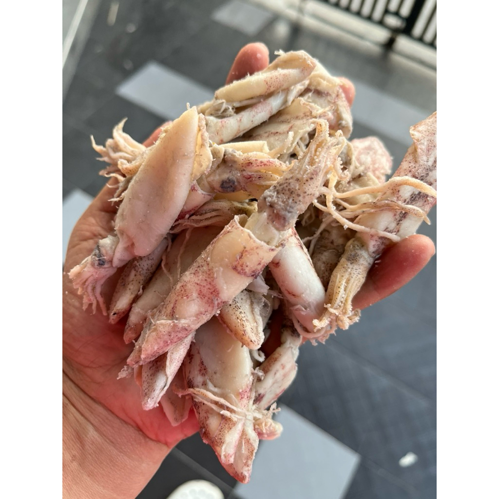 

Ikan Asin cumi kering asin cumi asin kering kualitas super Asli tuban