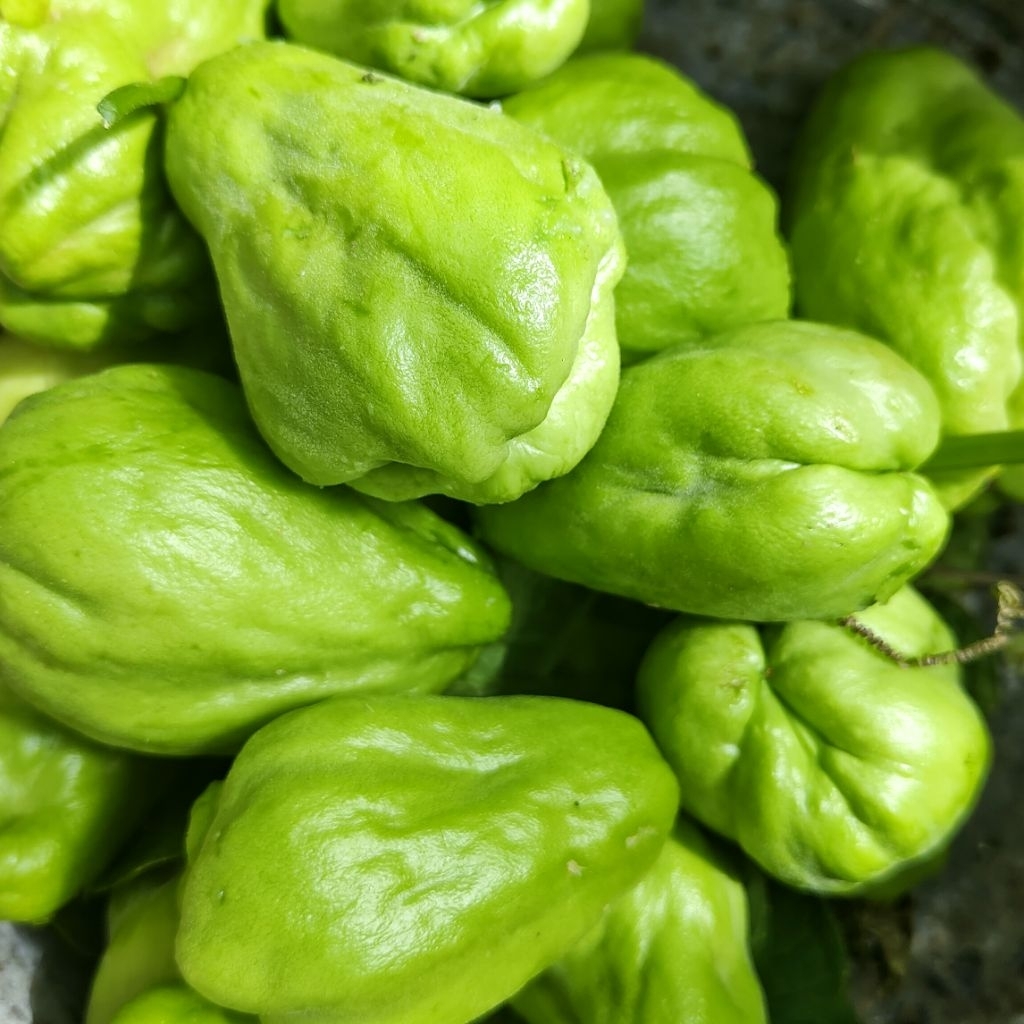 

Labu Siam Acar/Labu Siam Baby Fresh Uk 500gr /1kg