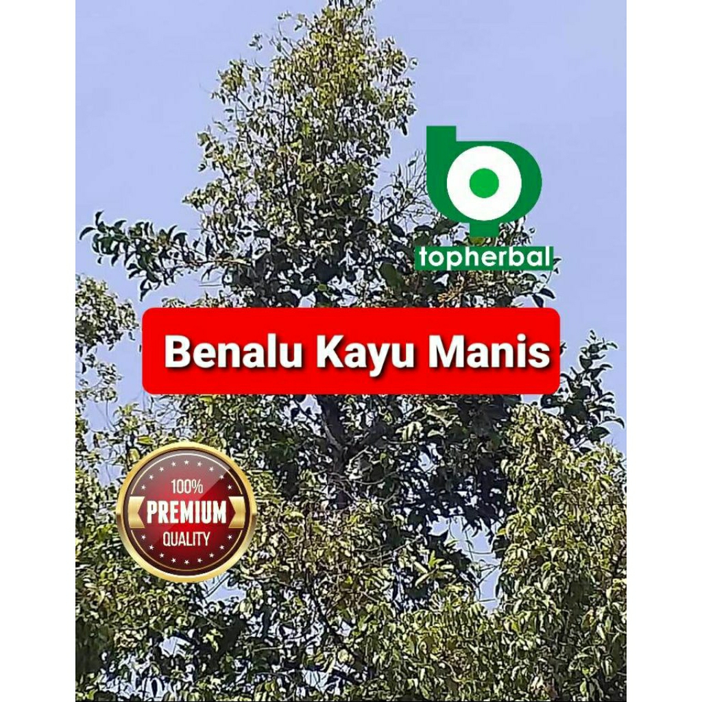 

BENALU KAYU MANIS 1 KG KERING GRADE A++
