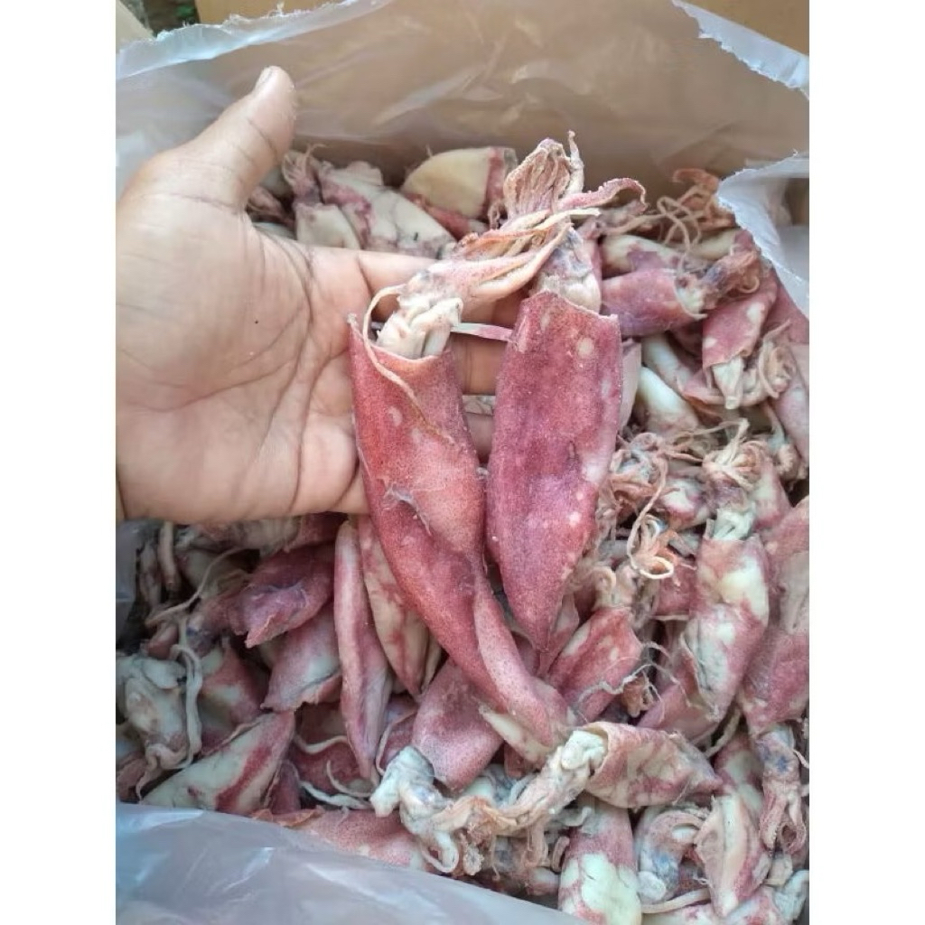 

Cumi Kering 1 kg Kualitas premium Tuban - Daging Tebal