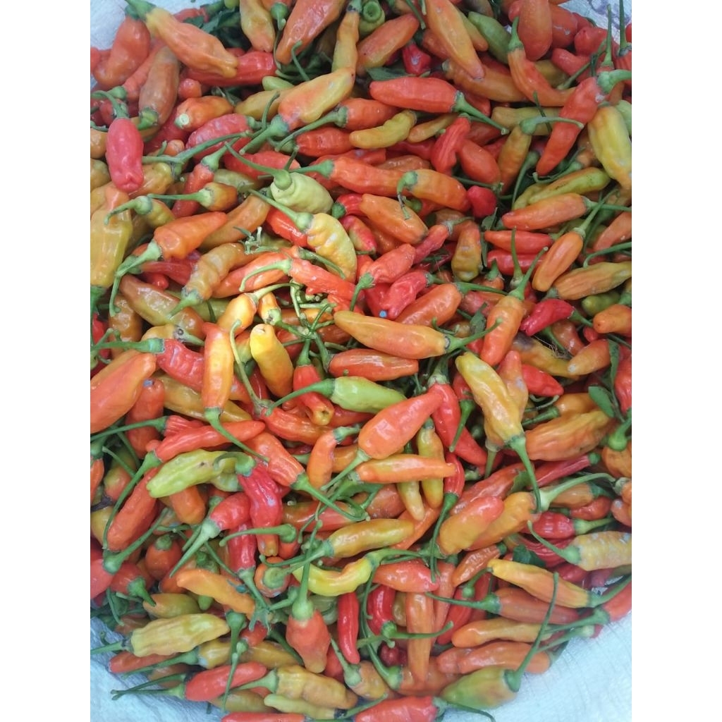 

rawit merah / cengkek 500 Gram