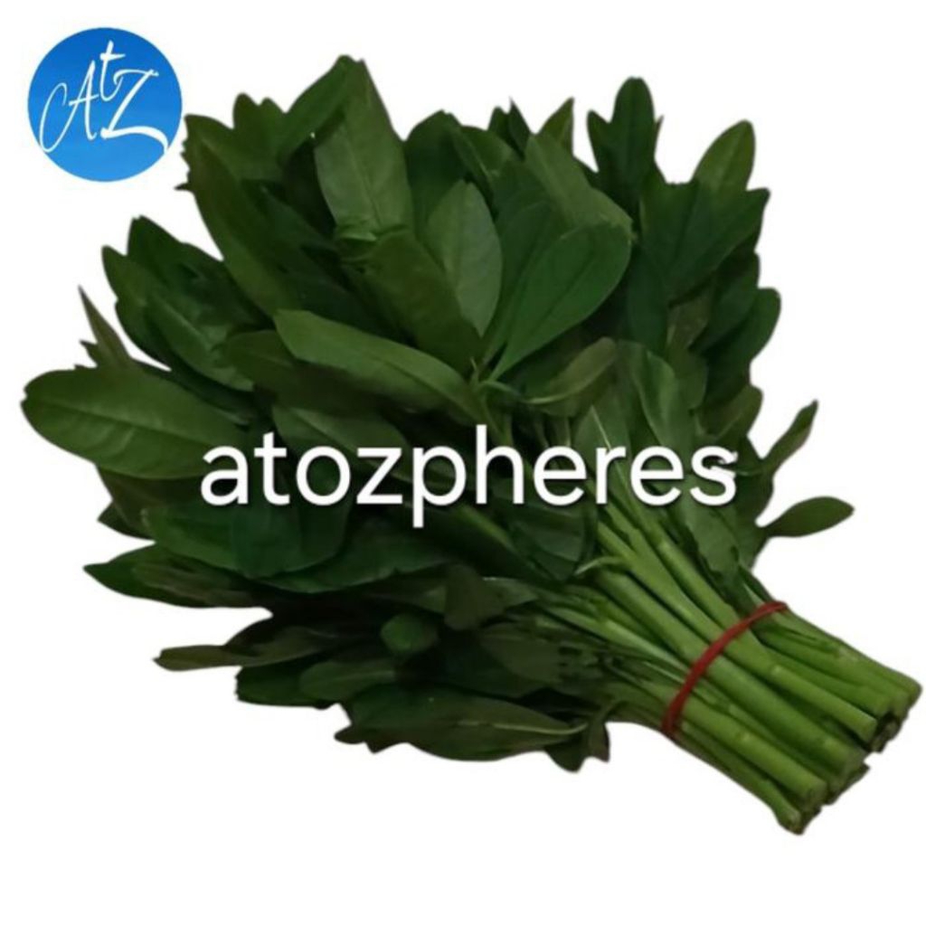 

Sayuran hijau ginseng fresh green vegetable