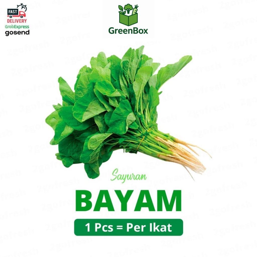 

Sayur Bayam Fresh - Spinach Vegetables
