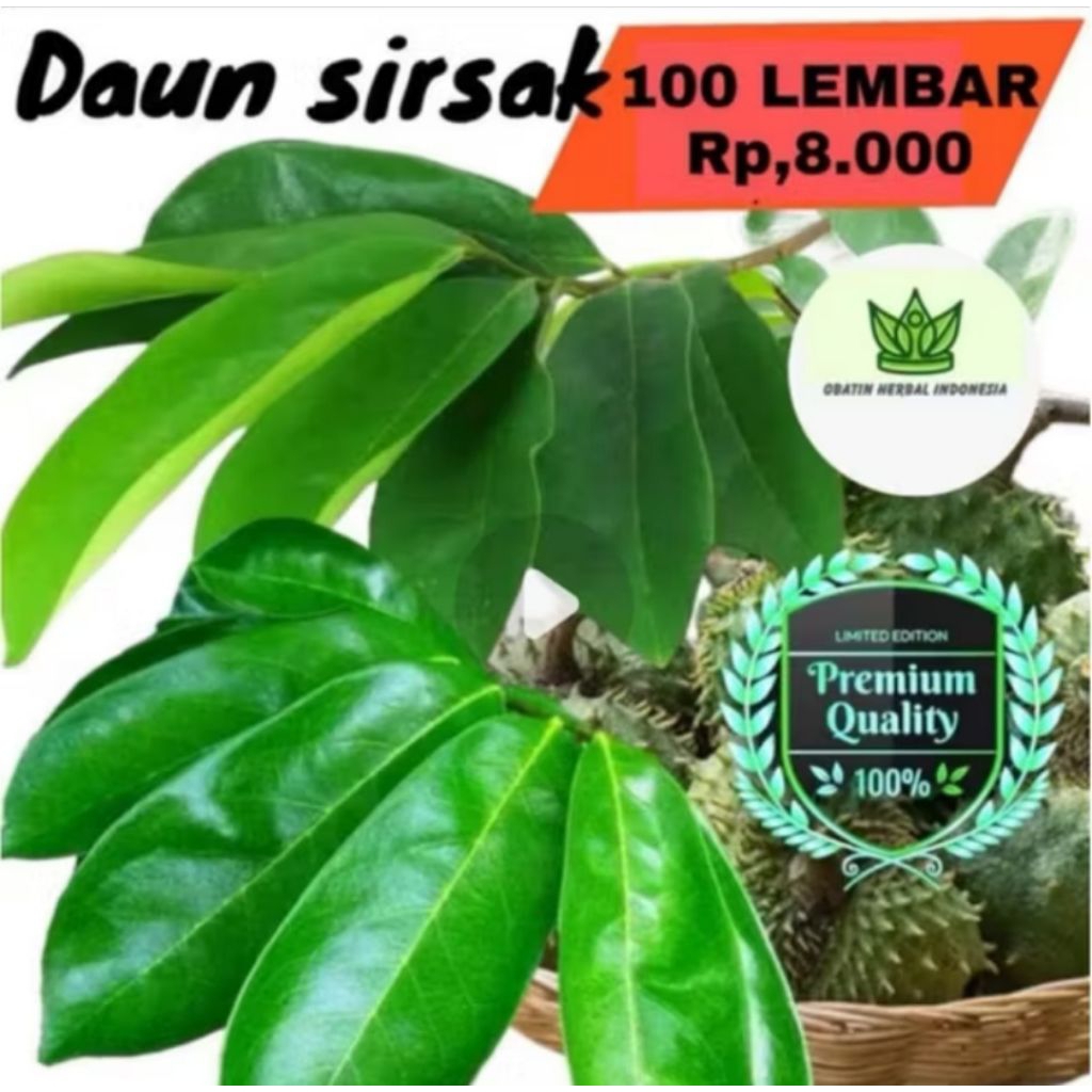 

PROMO Daun sirsak 100 lembar|organik fresh Alami
